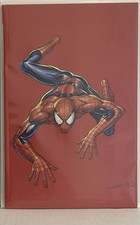The amazing spider usato  Roma