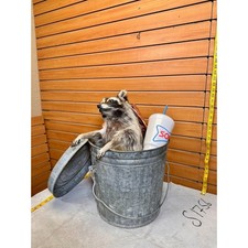 Fh226 raccoon trash for sale  Hill City