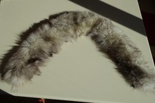 Blaufuchs kragen echtpelzkrage gebraucht kaufen  Ernsgaden