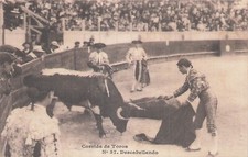Usado, CORRIDA DE TOROS 87623 comprar usado Usado, CORRIDA DE TOROS 87623 comprar usado  Enviando para Brazil