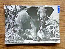 Carte postale elephant d'occasion  Gouville-sur-Mer
