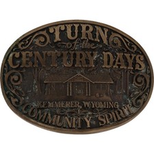 Brass turn century for sale  Evanston