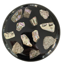 Vintage 1970s abalone for sale  Paradise Valley