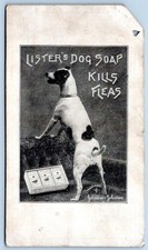 Usado, CARTÃO PUBLICITÁRIO LISTER'S DOG SOAP KILLS PULGAS JACK RUSSELL FOX TERRIER JOHNSON & JOHNSON comprar usado  Enviando para Brazil