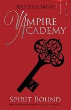 Vampire academy spirit gebraucht kaufen  Berlin