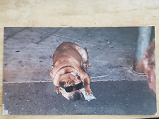 Vintage y2k photo for sale  Huntington Beach