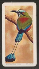 Brooke bond tropical for sale  COLNE