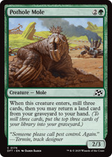 ambrosia mole for sale ambrosia mole for sale RAYLEIGH
