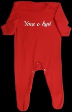 Baby red welsh for sale  PETERLEE