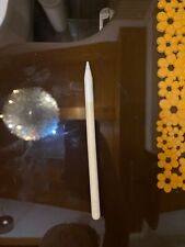Apple pencil pro usato  Rovigo