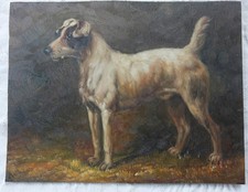 1920 jack russell for sale  TUNBRIDGE WELLS