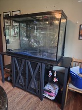 110 gallon aquarium for sale  Hammondsport