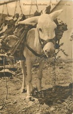 C1910 prescott arizona for sale  Prescott