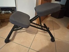 Sedia ergonomica eifred usato  Torino