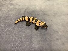 Safari gila monster for sale  Whitestone