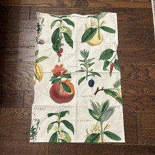 Williams sonoma dish for sale  Cherry Creek