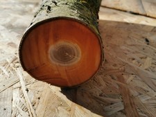 Drechselholz bastelholz edelho gebraucht kaufen  Neetzow-Liepen