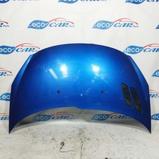 Cofano anteriore blu usato  Acerra
