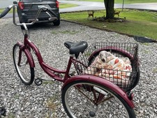 Schwinn s4002 meridian for sale  Madisonville