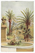 Palermo palermo orto usato  Italia