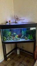 Acquario angolare 400 usato  Orta Nova