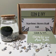 Marimo moss ball for sale  CIRENCESTER