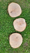 Baumscheiben esche 25cm gebraucht kaufen  Sehmatal