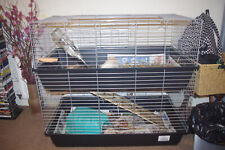 double rabbit cage for sale double rabbit cage for sale HARROW