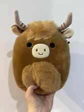 Calton highland cow for sale  STOCKPORT
