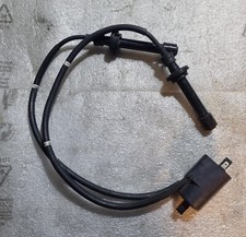 Bobbina accensione elettronica usato  Aversa