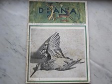 Diana rivista caccia usato  Librizzi
