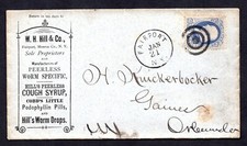 EUA 1879 PUBLICIDADE EMPRESA MÉDICA HILL WORM DROPS & TOSSE XAROPE FAIRPORT N.Y. comprar usado  Enviando para Brazil