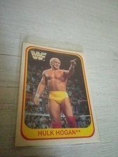 hulk hogan usato hulk hogan usato San Giovanni in Persiceto