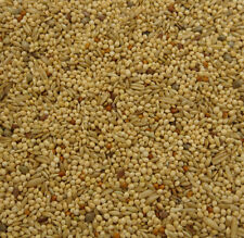 10kg budgie food for sale 10kg budgie food for sale  WITHAM