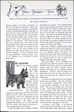 Types terriers toys for sale Types terriers toys for sale  SHREWSBURY