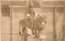 Usado, Cartão postal raro foto vintage 1911 RPPC Peter Taylor Lion Tamer Circus Rutland Fair comprar usado Usado, Cartão postal raro foto vintage 1911 RPPC Peter Taylor Lion Tamer Circus Rutland Fair comprar usado  Enviando para Brazil