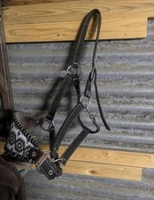 Halter for sale  Spokane