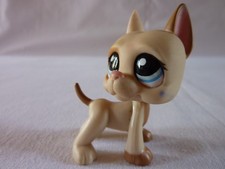 Petshop lps littlest d'occasion Petshop lps littlest d'occasion  Dannes