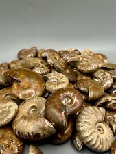 Superb whole natural for sale  Sparta