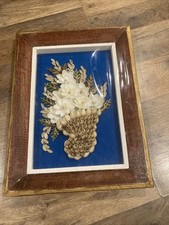 Shadow box seashell for sale  Middleburg