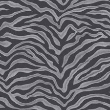 Galerie zebra wallpaper for sale  ROCHDALE