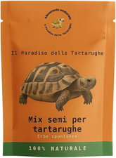 Mix semi erbe usato  Roma