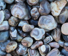 Gray botswana agate for sale  Dallas