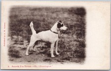 Vintage postcard smooth for sale  UK