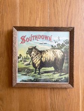 southdown sheep for sale  Portland