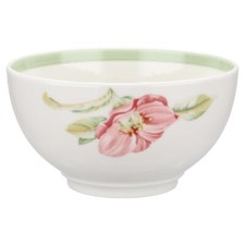 Müslischüssel villeroy boch gebraucht kaufen  Kappeln