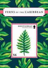 Montserrat 2012 ferns for sale  Brooklyn