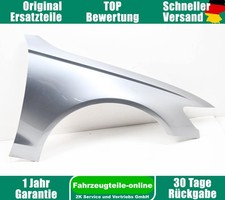 Kotflügel seitenwand vorn gebraucht kaufen  Eilenburg