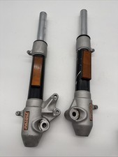 Paioli gabelbein fork gebraucht kaufen  Lauf a.d.Pegnitz