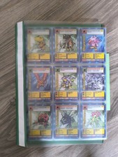 Alte digimon sammelkarten gebraucht kaufen  Babenhausen